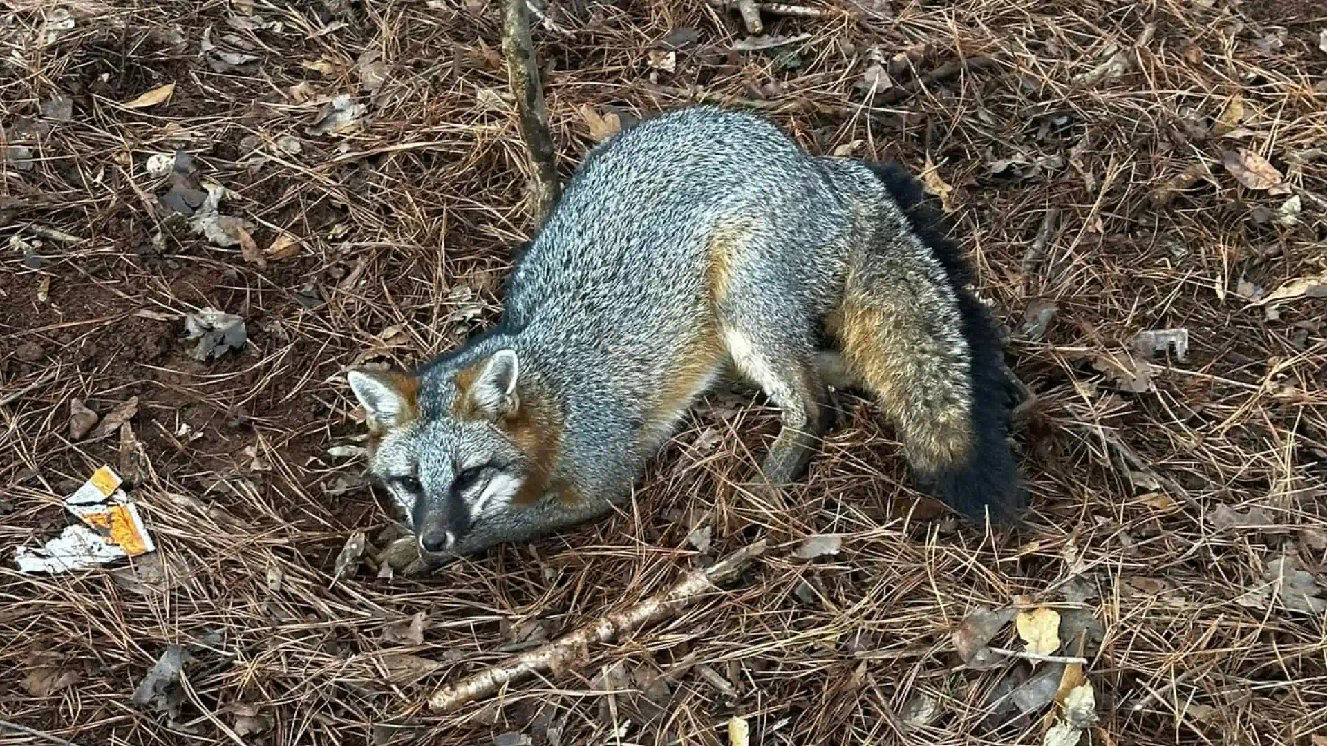 hero main background 1