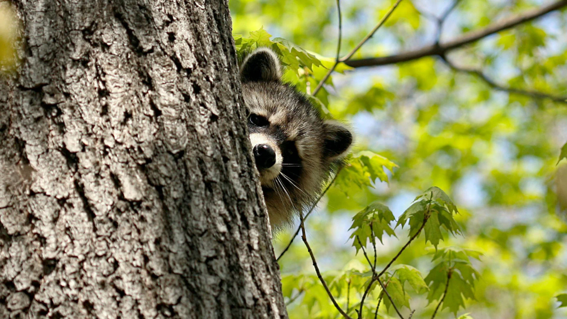 hero main background 2