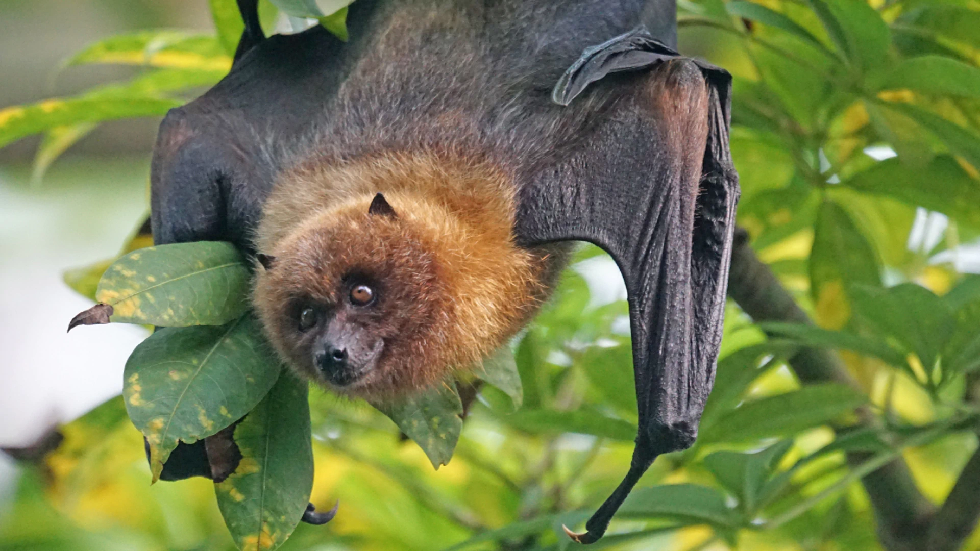 hero main background 3