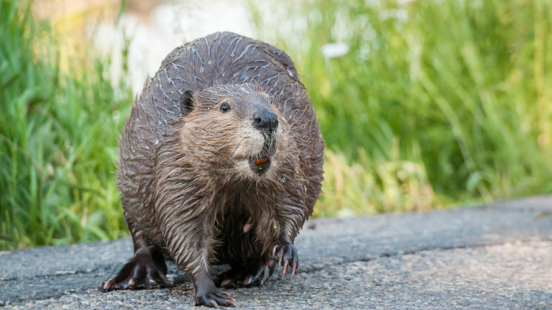 hero main background 4